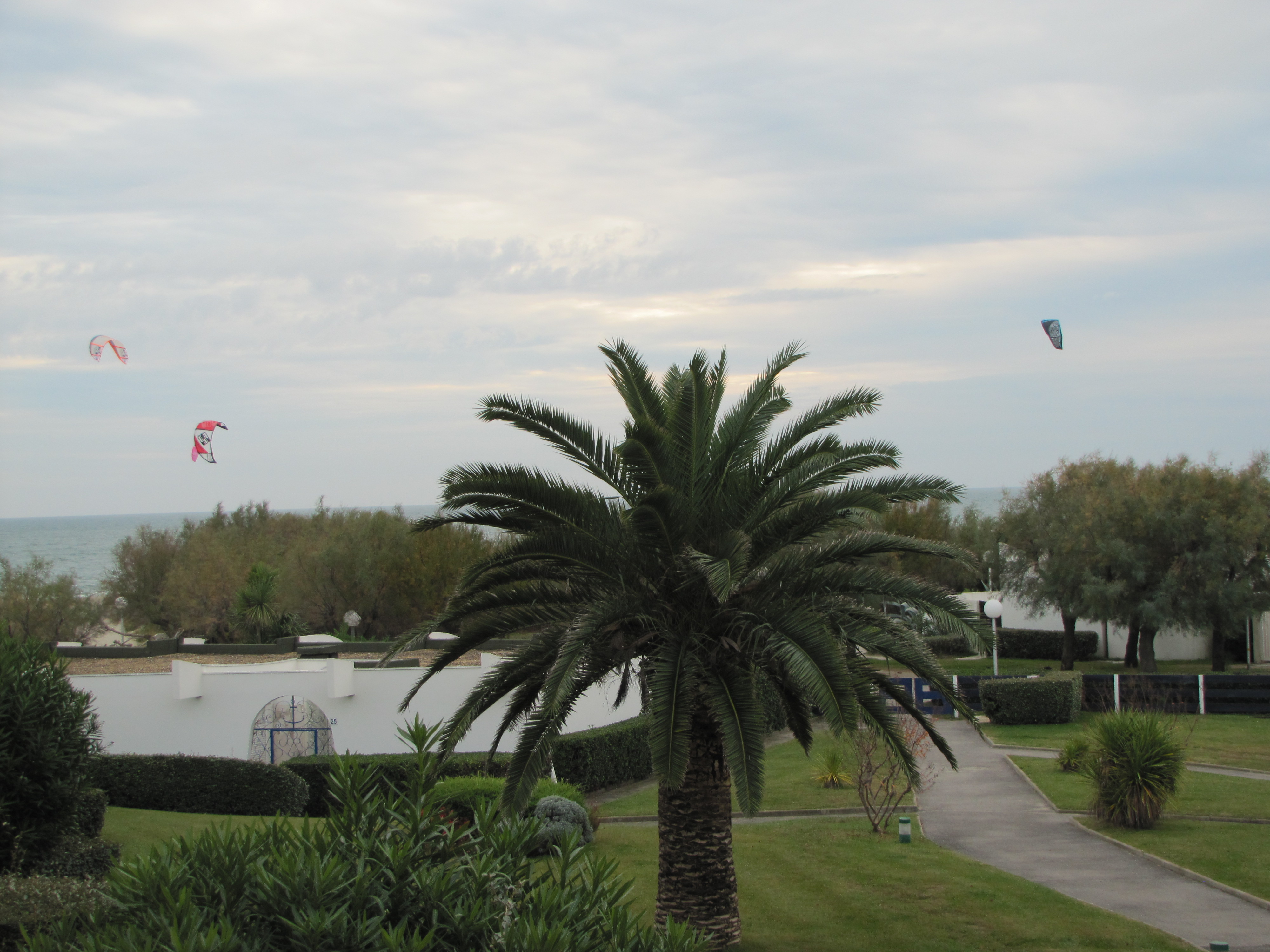 15-10-27-windy day (2)