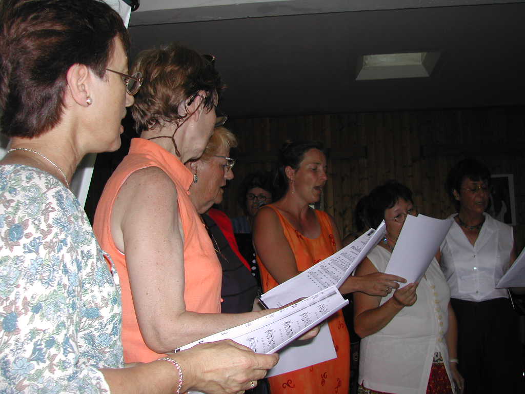 pompignane goodbye-03-06-groupe de chants 2