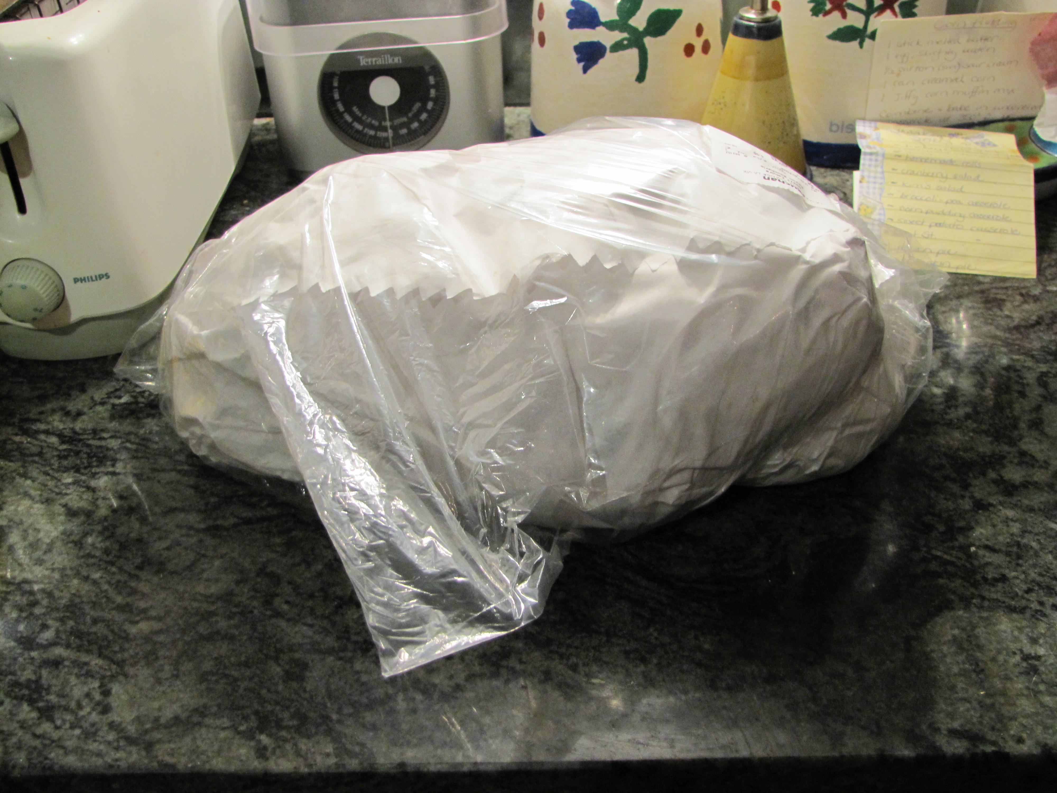 15-11-28-decomposed turkey preps (1)