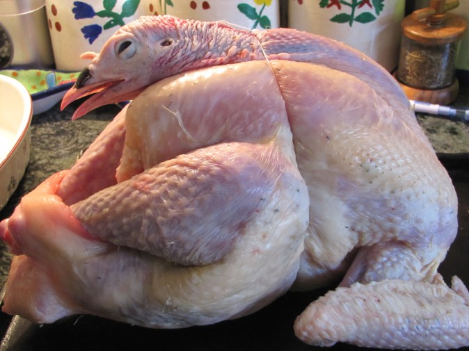 16-11-25-our thanksgiving turkey (1)