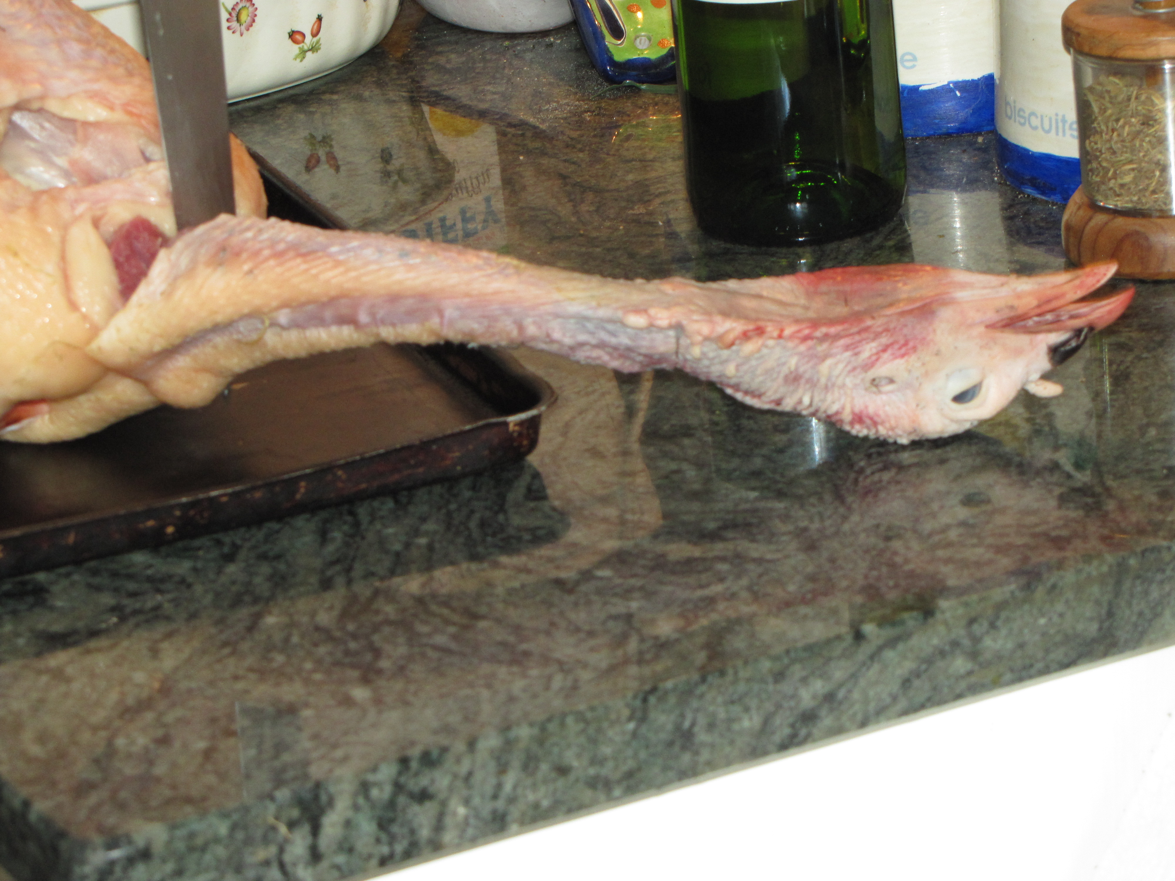 16-11-25-our thanksgiving turkey (8)