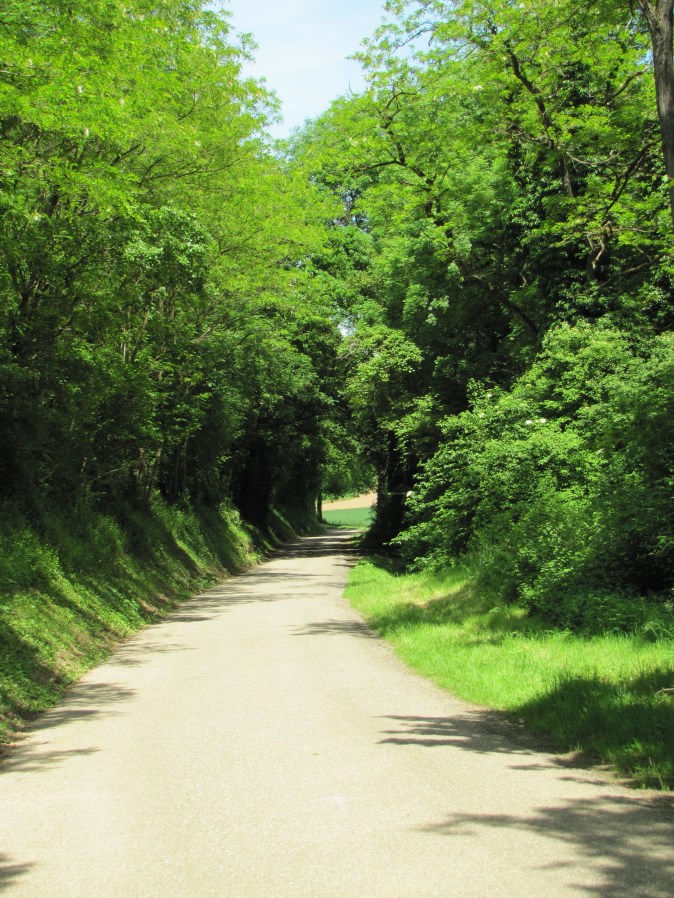 15-05-10-rochetaillee walk (12)