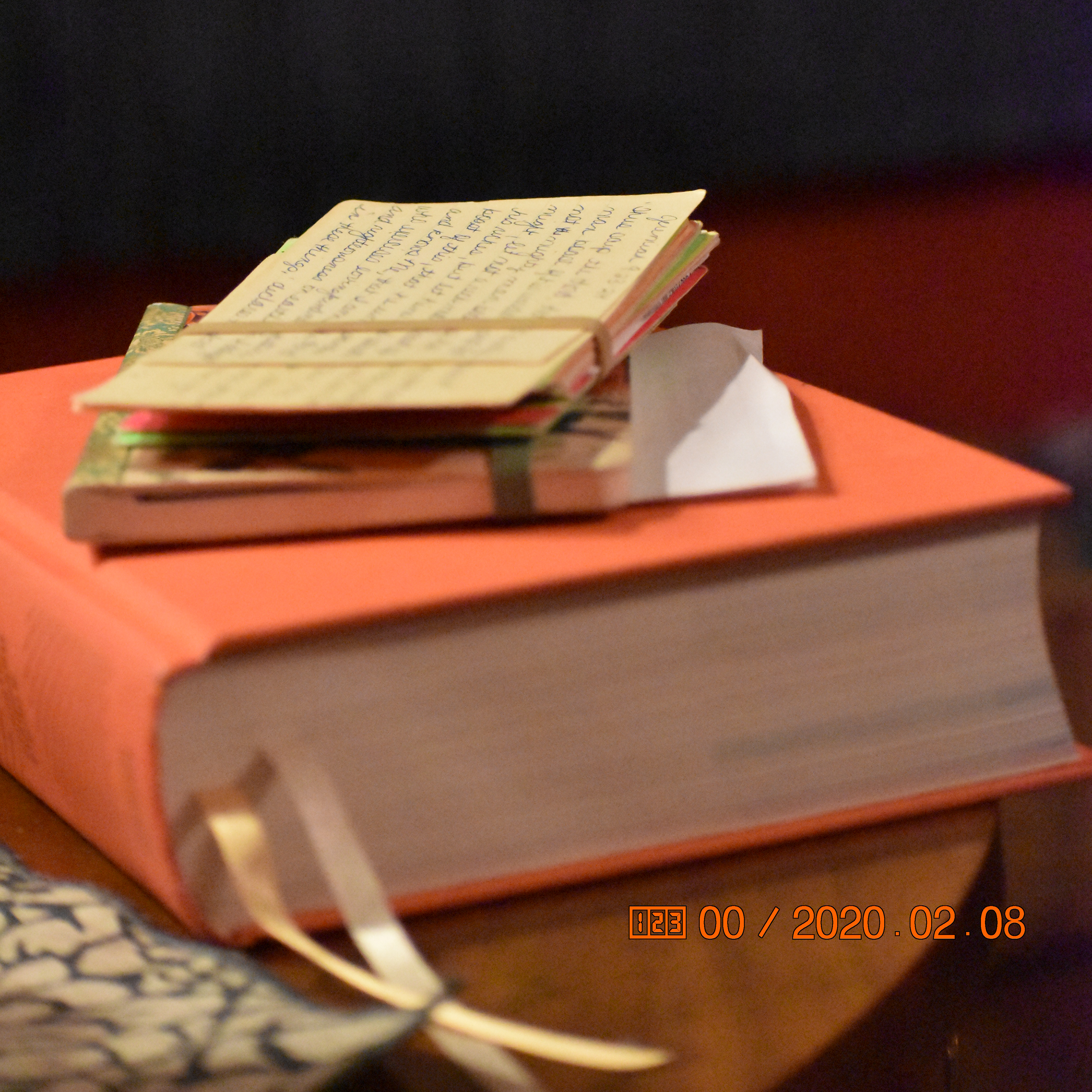 20-02-08-new camera trial (45)