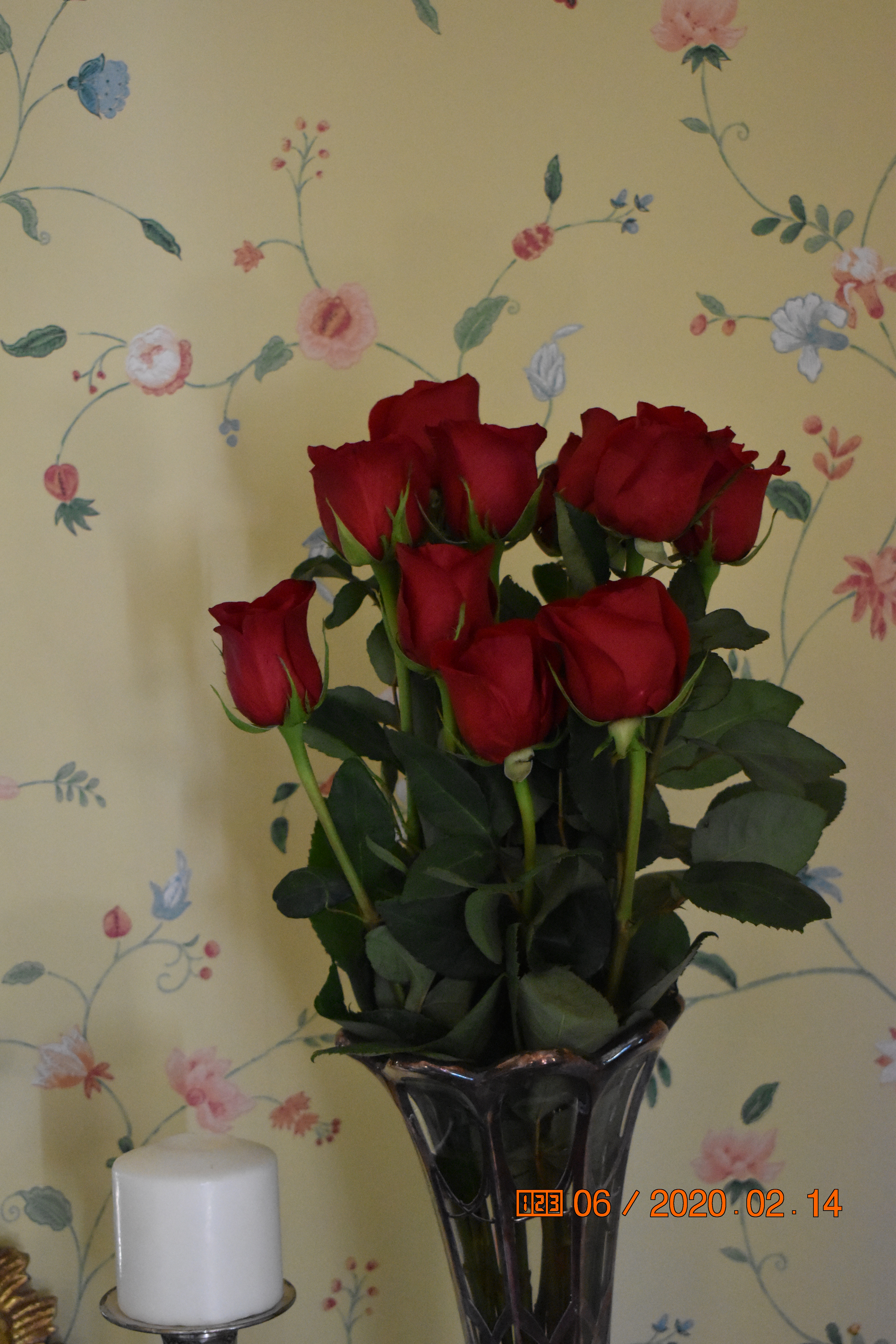 20-02-14-nancy creek (30)