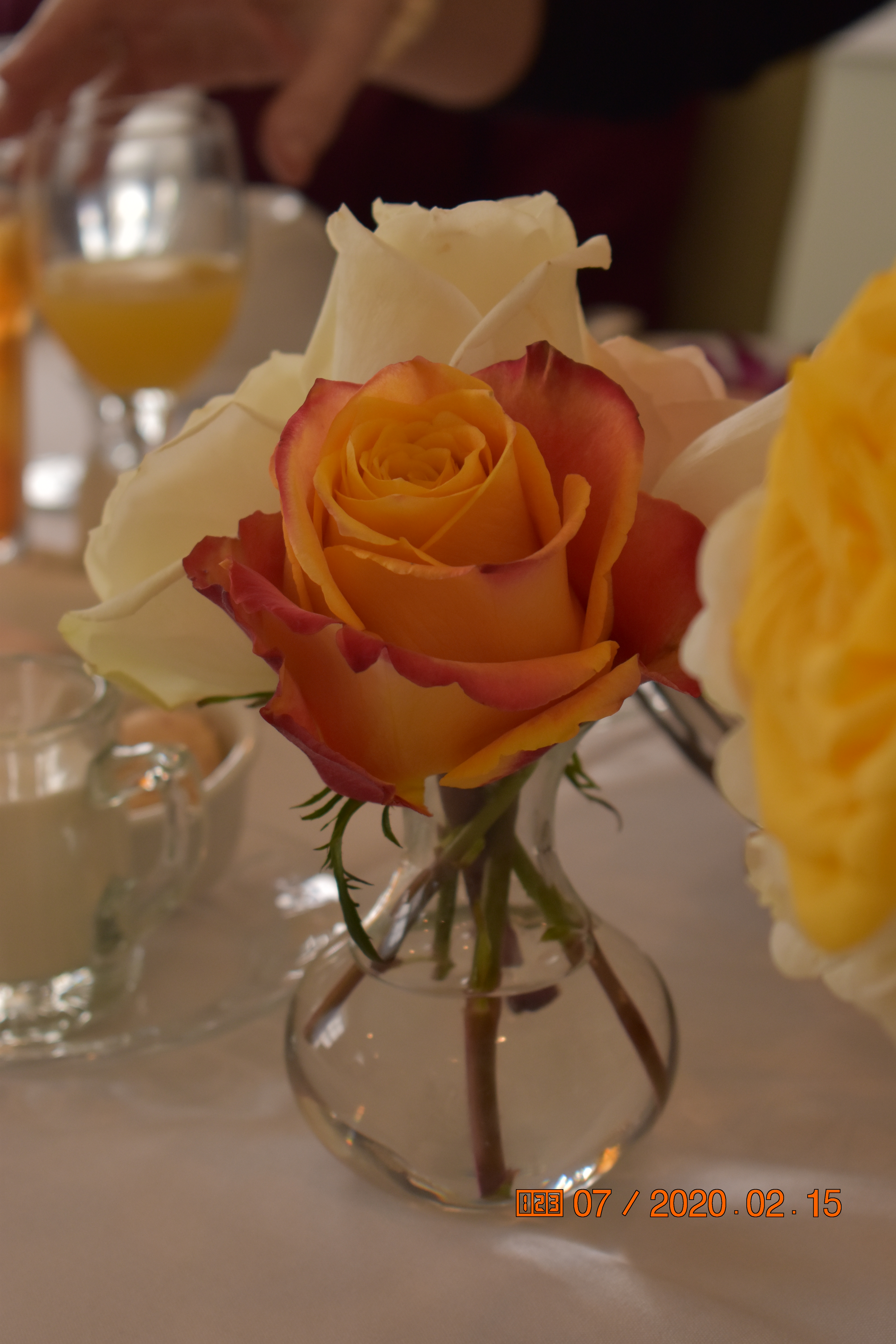 20-02-15-brunch at swan coach house (33)