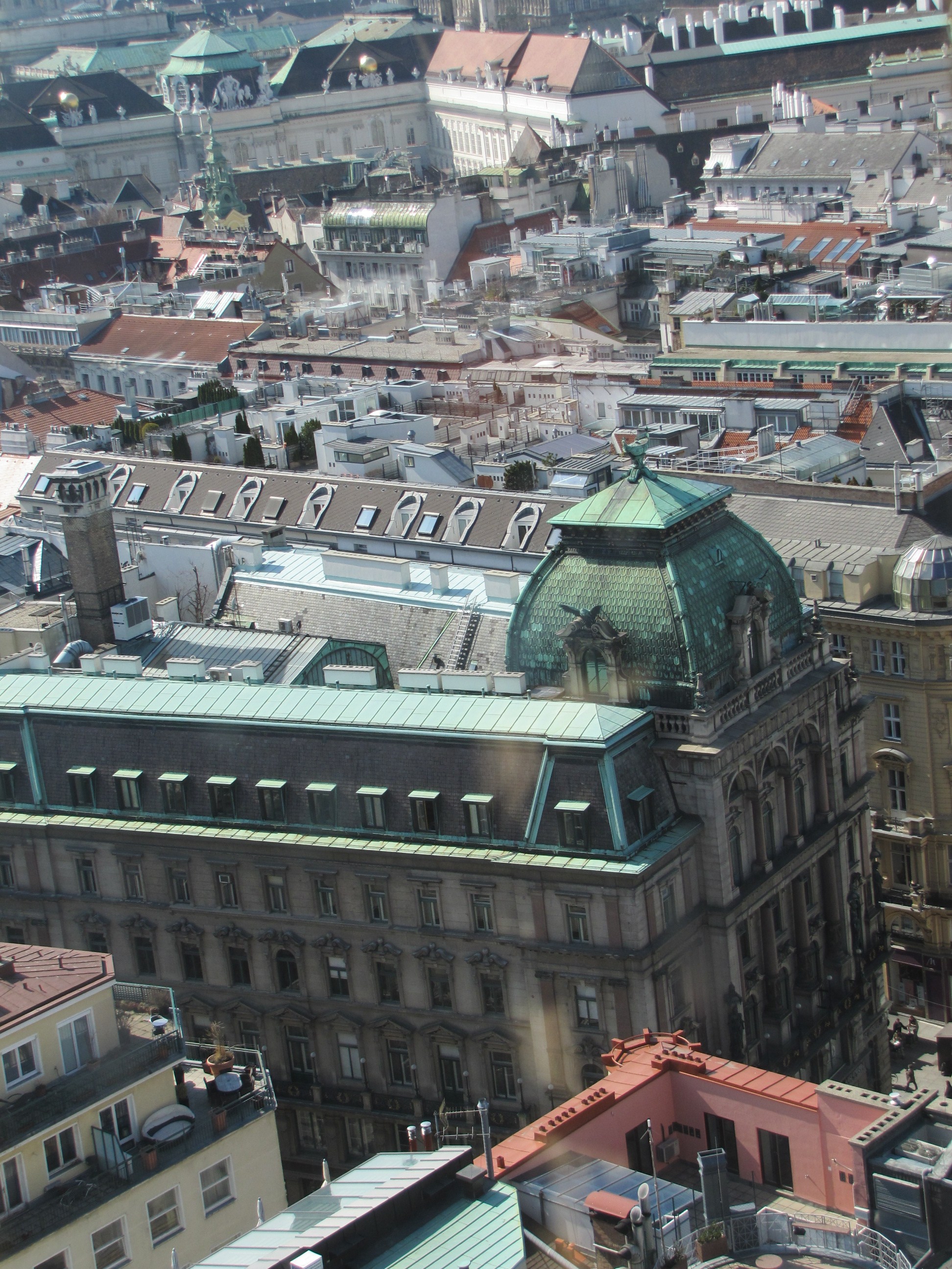 11-03-21-vienna waiting for me (9)