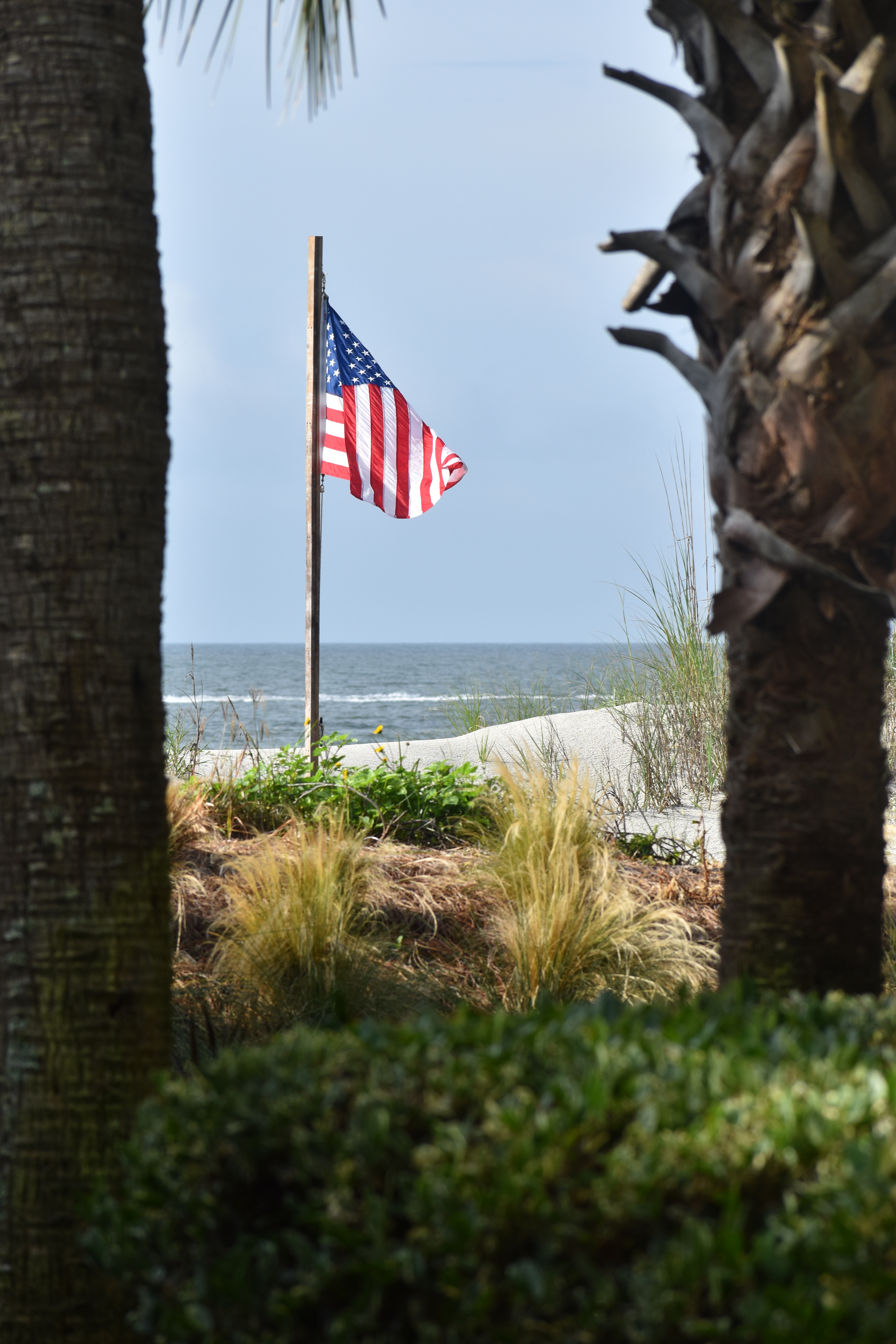 21-06-05-last morning walk (14)