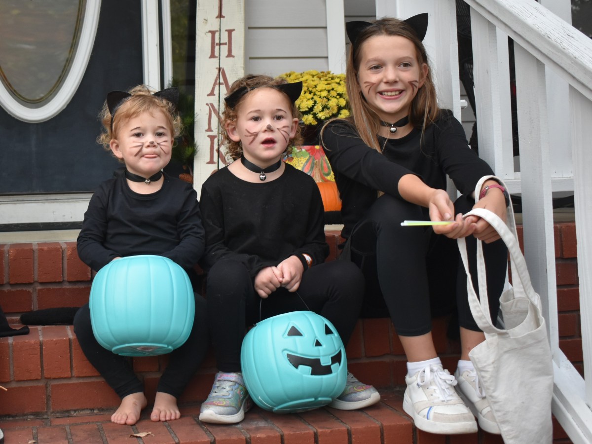 Musser’s Thanksgiving Update&nbsp;2024